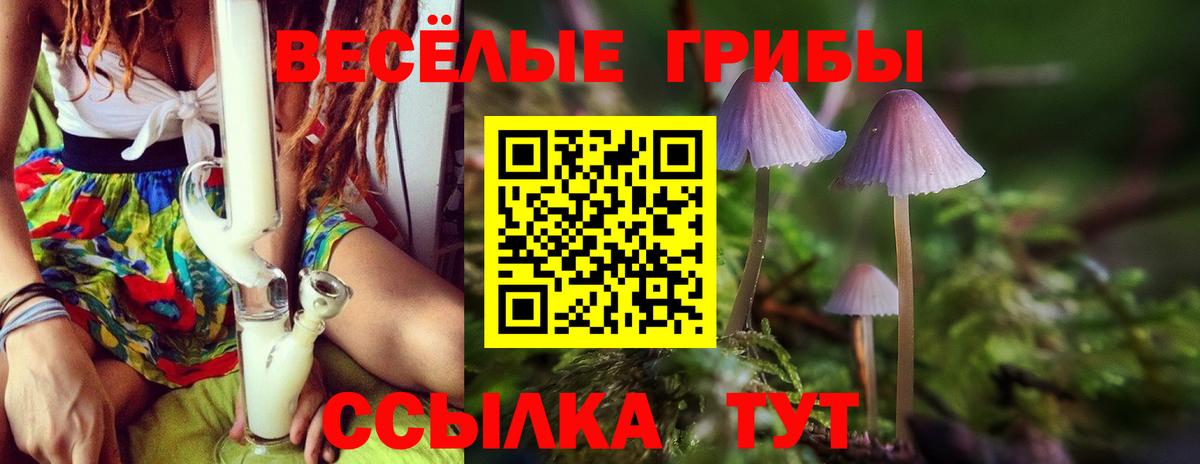 Галлюциногенные грибы MAGIC MUSHROOMS  Вход с VPN  Керчь 